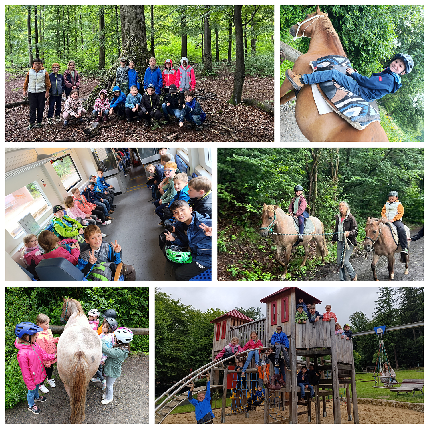 Schuljahresabschluss auf Ponyhof