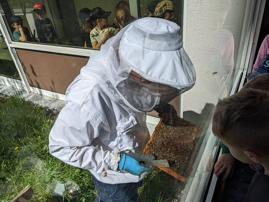 Besuch der Schulbienen in Sterbfritz
